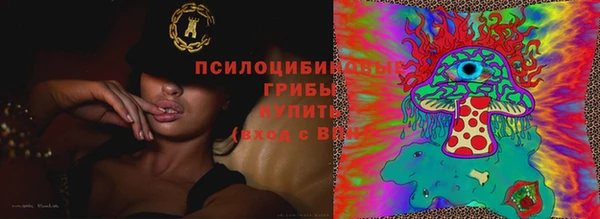 apvp Нефтекумск
