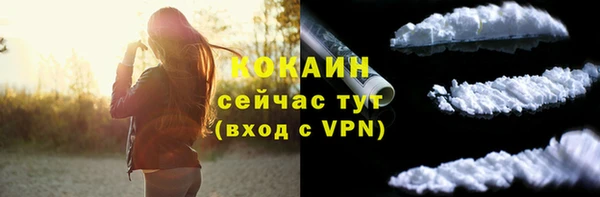 гидра Нея