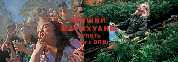 гидра Нея