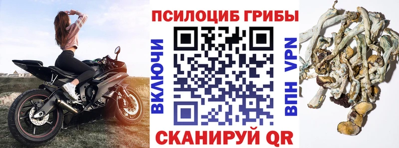 Псилоцибиновые грибы Magic Shrooms  маркетплейс официальный сайт  Слюдянка  купить наркоту 